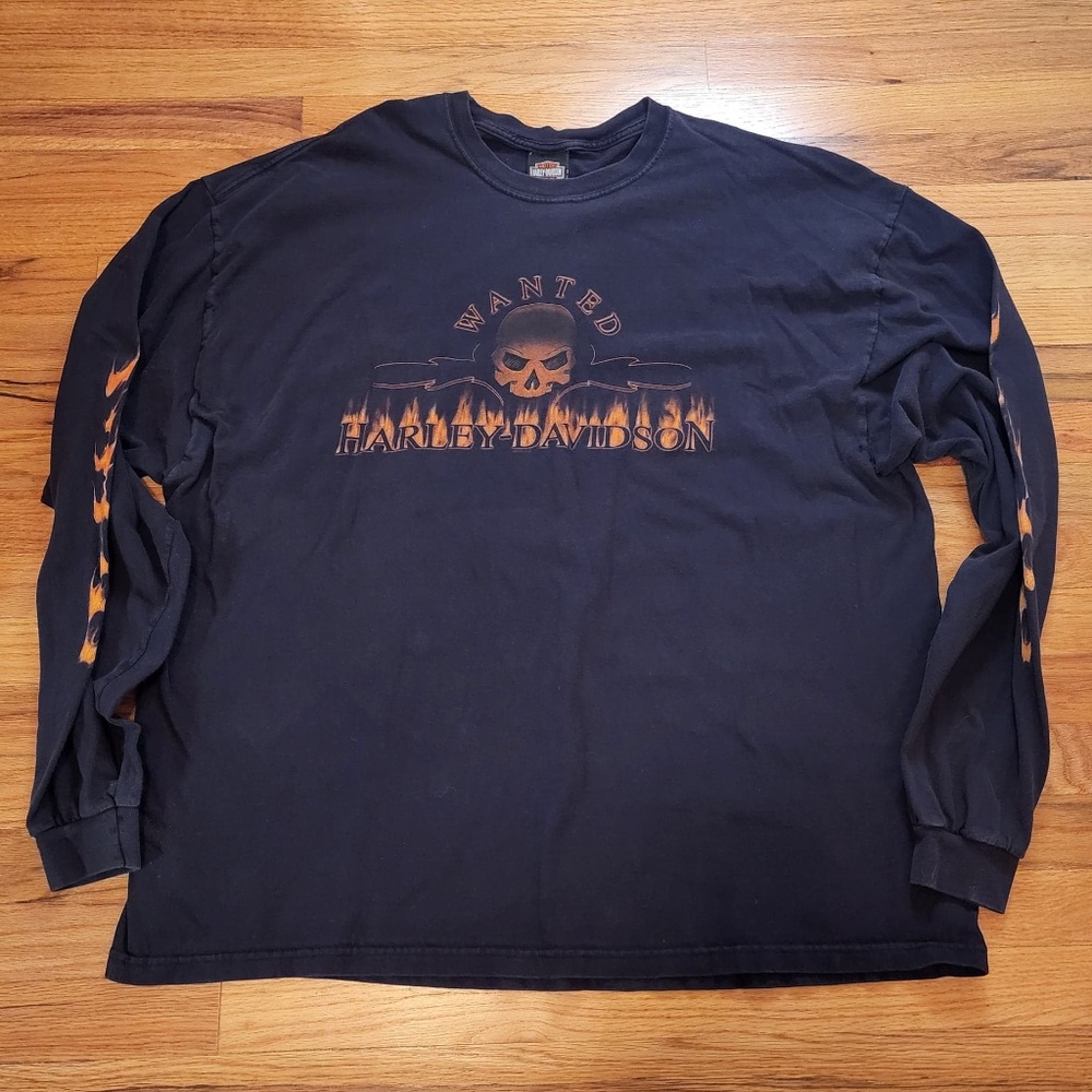 Harley Davidson Blue Skull/Flames Long Sleeve T Shirt 3XL
